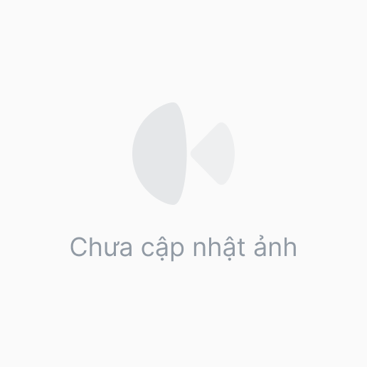 Bộ Thun HQ bèo
